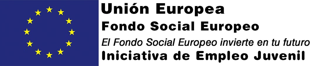 union europea fons social per a ocupació